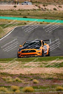 media/Feb-25-2024-Speed Ventures (Sun) [[b9a2a97a4d]]/Mustang Drivers Club/Session 3 (Turn 2)/